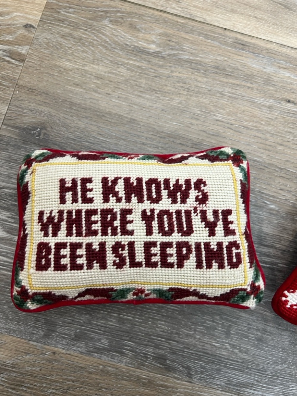 He knows where you’ve been sleeping needle point pillow